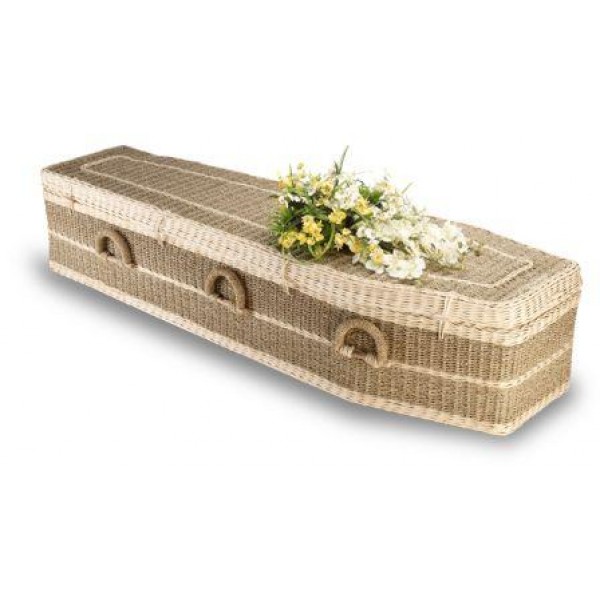 Pandanus-Traditional-600x600